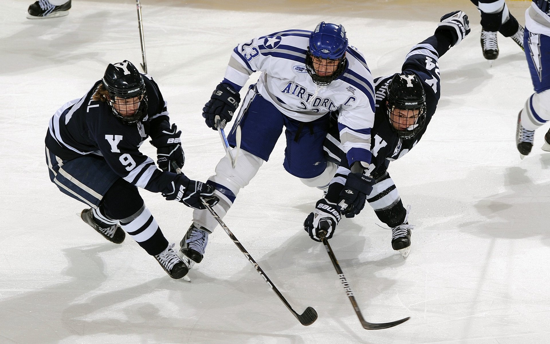 华体会电竞平台-哈兰德个人数据引发转播商与媒体关注，哈兰德个人集锦